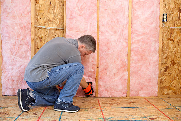 Best Residential Insulation in La Blanca, TX