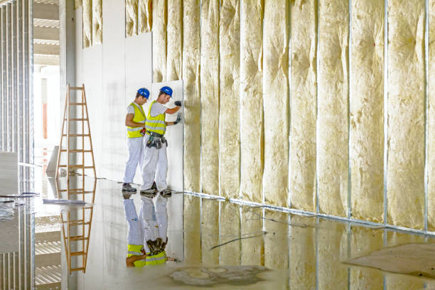 Best Insulation Maintenance and Repair in La Blanca, TX